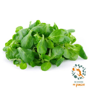 Mâche 100gr